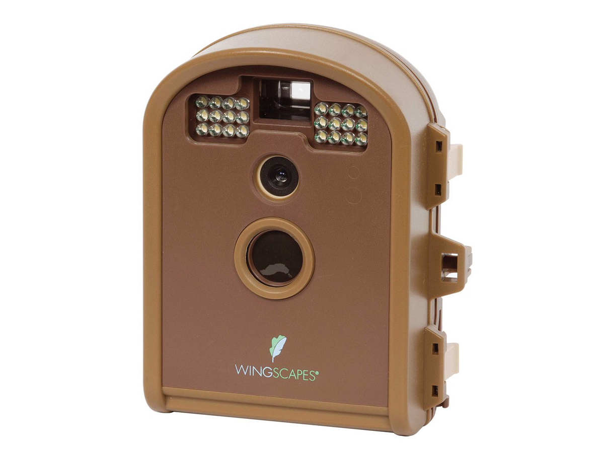 40 Christmas gift ideas for under £100: Wingscapes Wildlife Camera