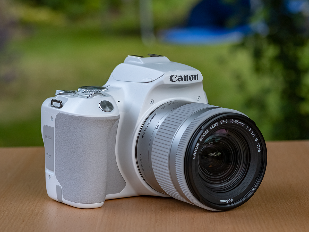 Canon 250D Review
