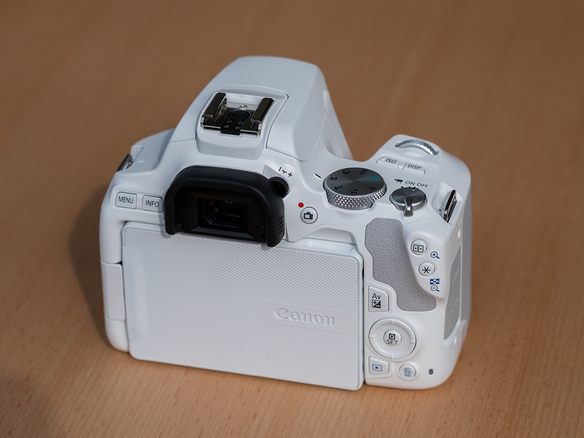 Canon EOS 250D - in hands review 