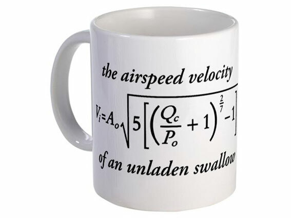 Airspeed Velocity of an Unladen Swallow Mug