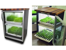 Let the Urban Cultivator grow your herbs for you