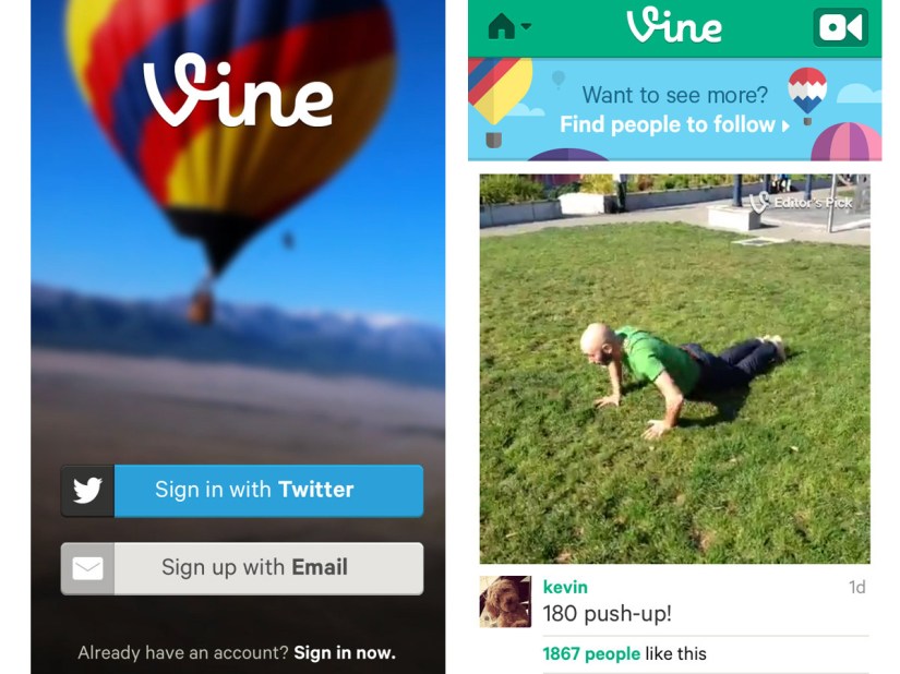 Vine review