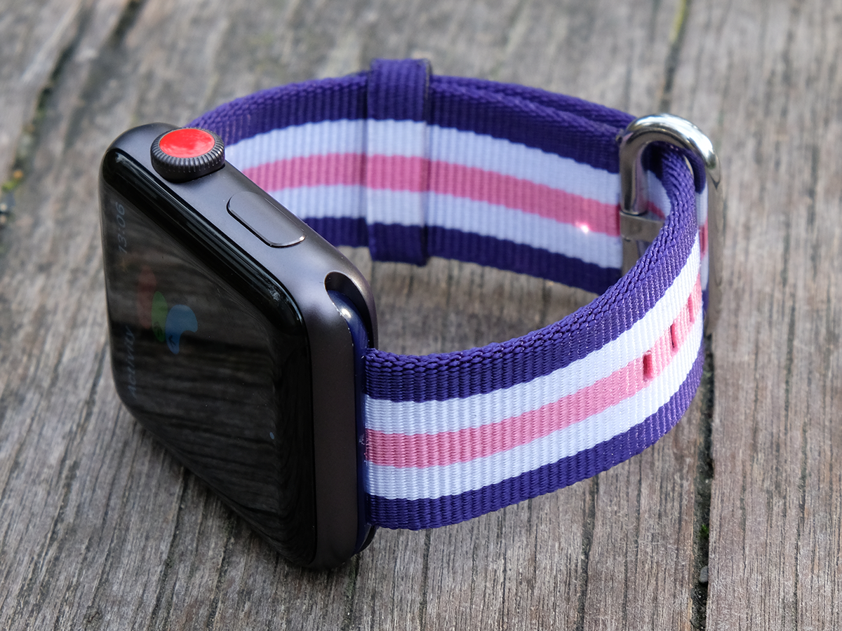 Matching apple watch outlet band and dog collar