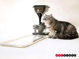 This smart feeding station uses face recognition and scales to stop your cat getting fat