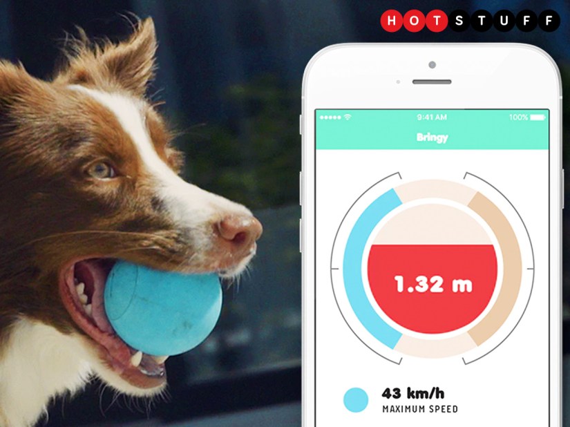 Bringy gives your pooch a futuristic take on fetch