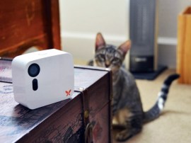 This smart security cam can spot the difference between Mr. Tibbles and a burglar