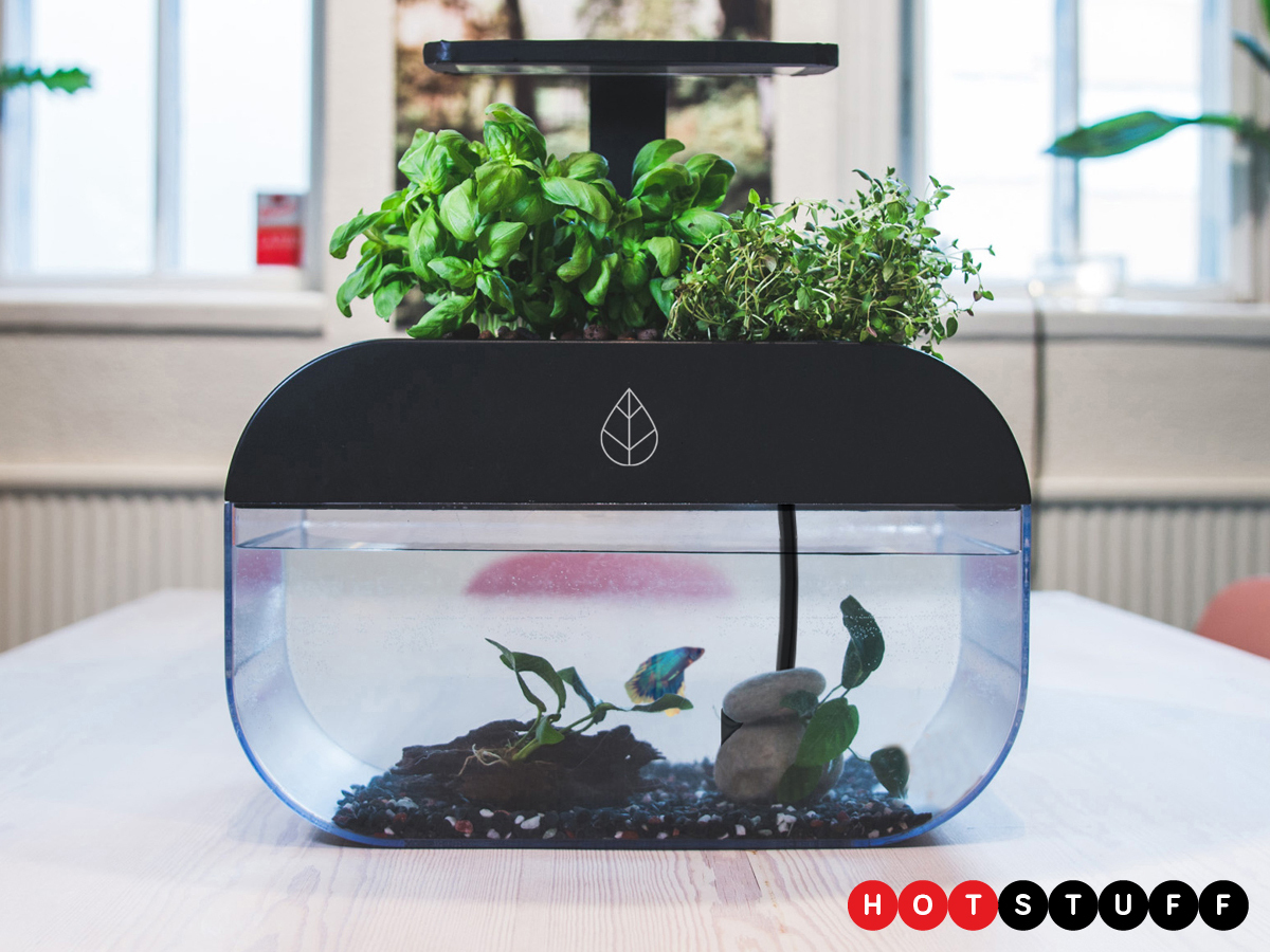 EcoGarden is a smart symbiotic greenhouse and fish tank combo that ...