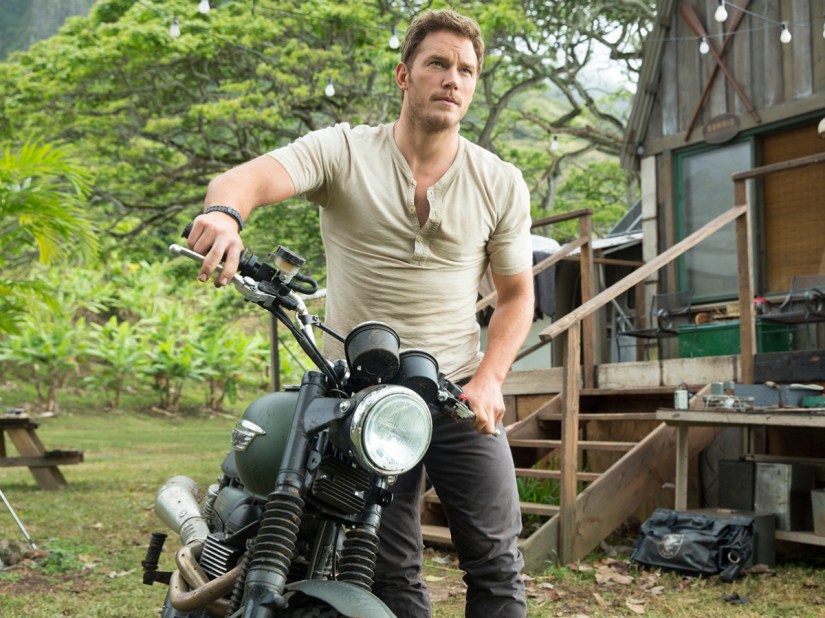 New Indiana Jones film planned – and Disney wants Chris Pratt for the lead