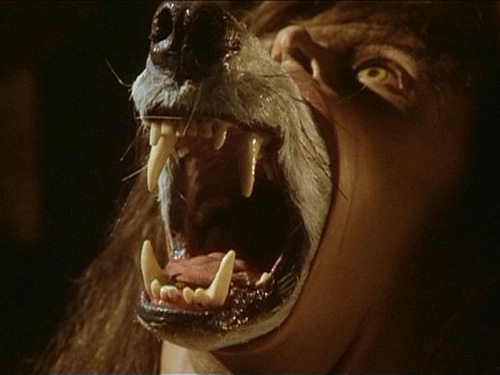 The Best Werewolf Movies To Watch This Halloween