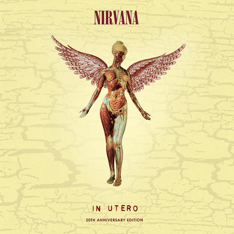 NIRVANA: IN UTERO 20TH ANNIVERSARY DELUXE EDITION (2013)