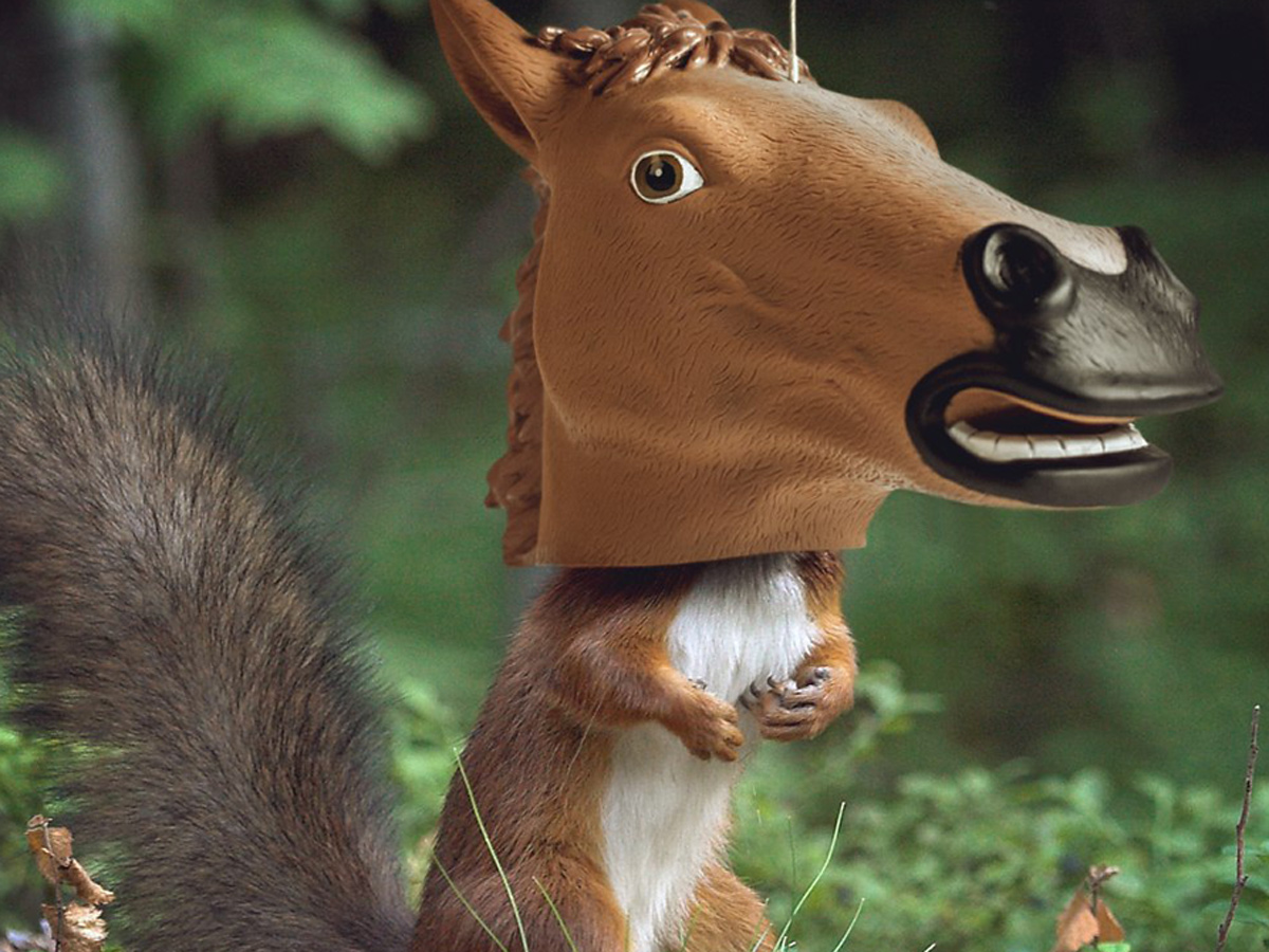 35 Christmas gift ideas for less than £50: Horse Head Squirrel Feeder