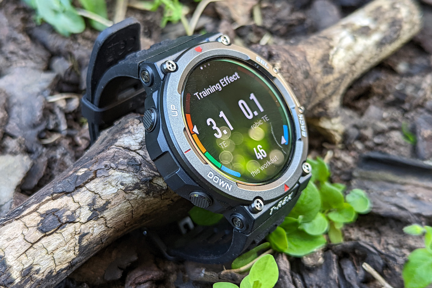 Amazfit T-rex 2 Review: Fighting Fit 