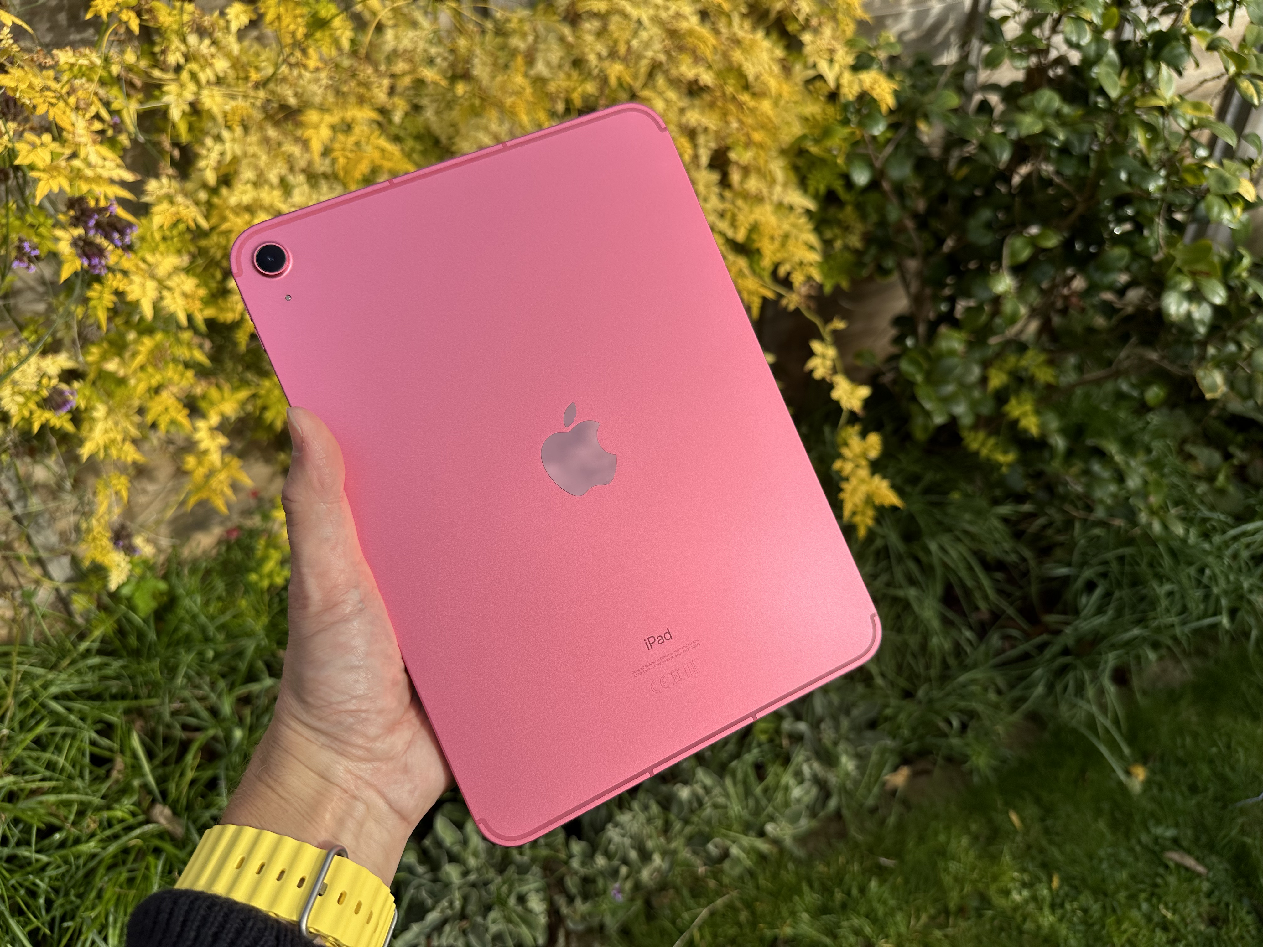 LV Bear iPad (2022) Clear Case
