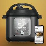 Instant Pot adventures: How the hot gadget this Christmas holds up in the  kitchen, Food
