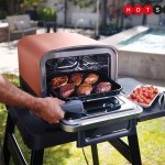  Ninja Woodfire Pizza Oven, 8-in-1 outdoor oven, 5 Pizza  Settings, Ninja Woodfire Technology, 700°F high heat, BBQ smoker, wood  pellets, pizza stone, electric heat, portable, terracotta red, OO101 :  Everything Else