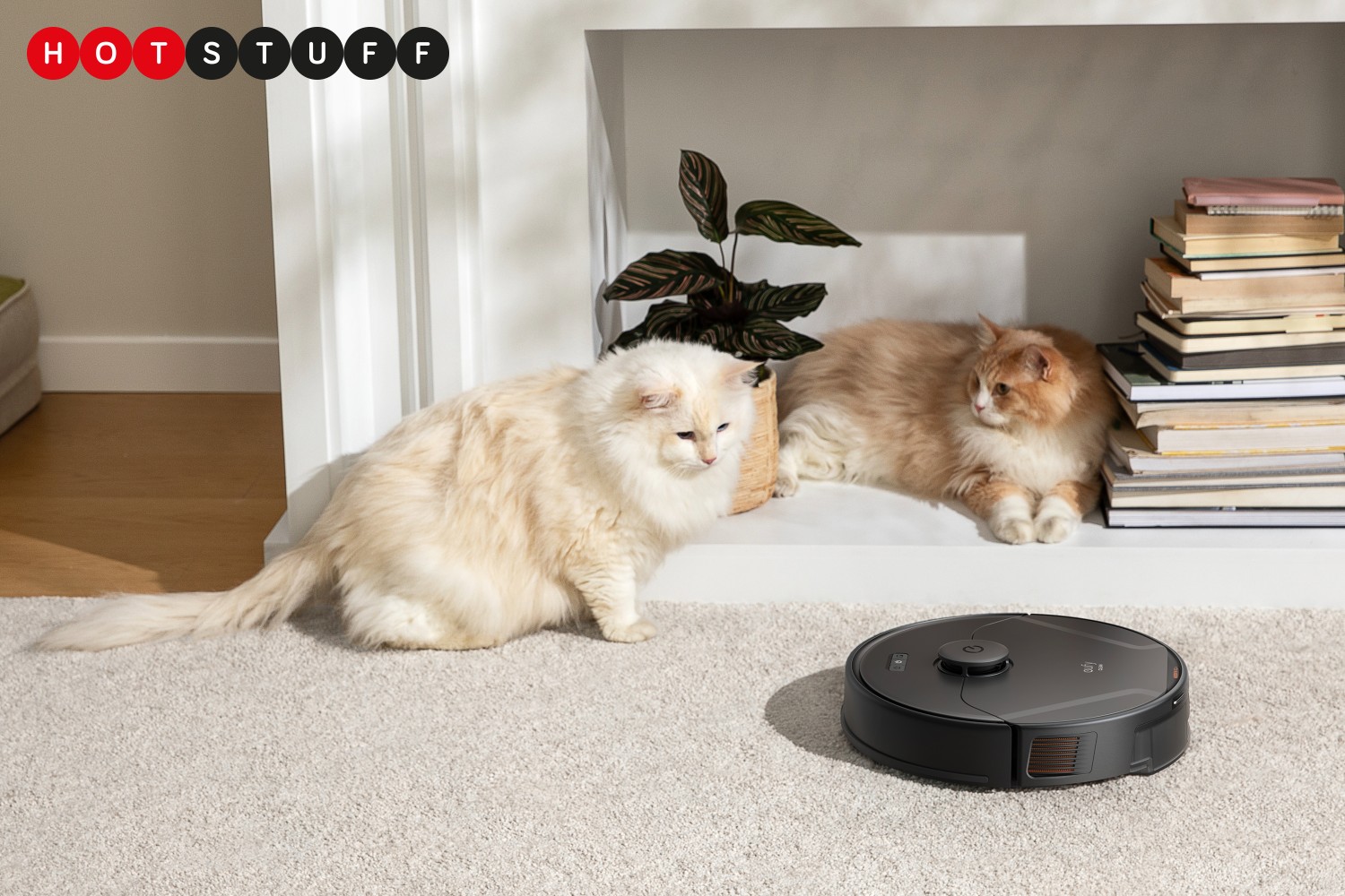 robot bestie vacuum