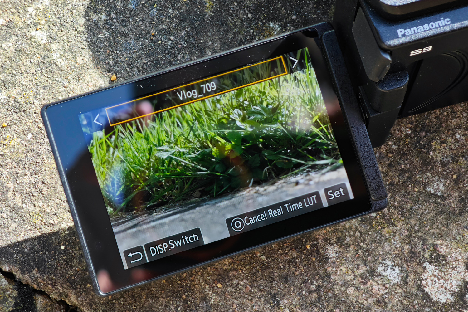 Panasonic Lumix S9 review real-time LUTs