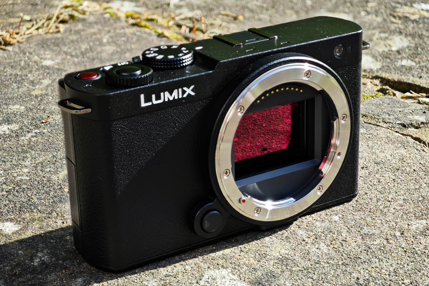 Panasonic Lumix S9 review rear
