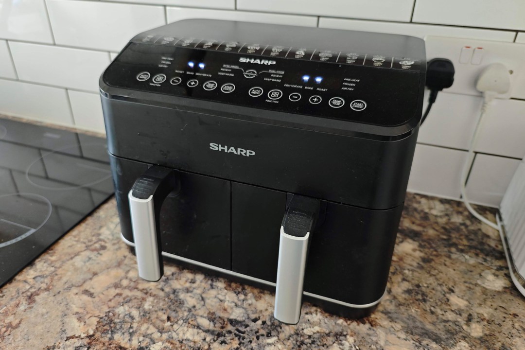 Sharp Dual Drawer Air Fryer review lead