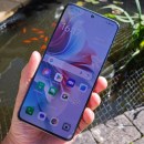 Oppo Reno 11 F 5G review: excelling at the entry-level