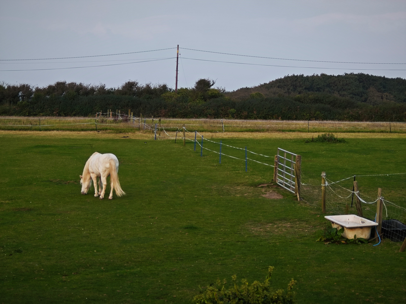 Xiaomi Mix Flip camera samples horse