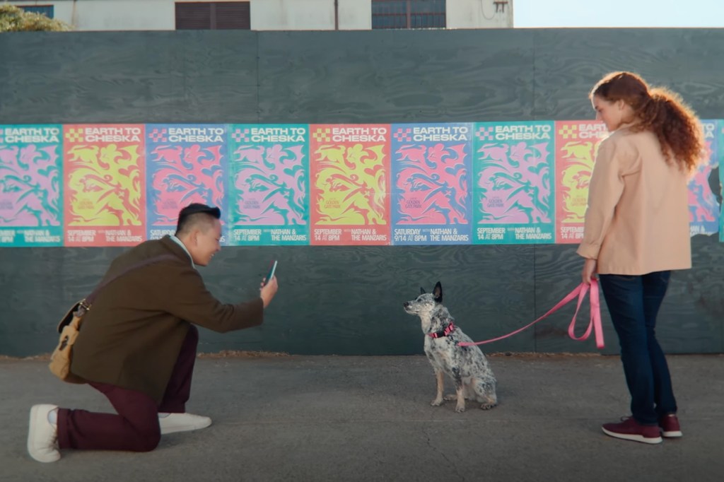 Weird person taking a photo of a dog