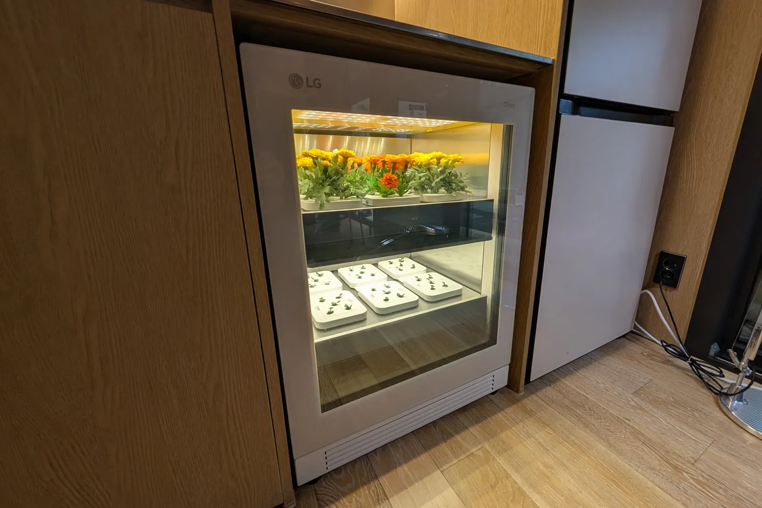 LG Smart Cottage feature plant incubator