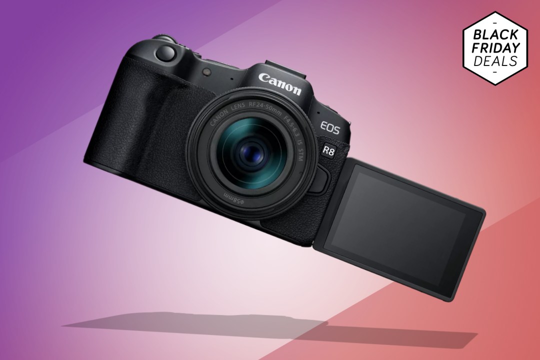 Canon EOS R8 on purple and red background