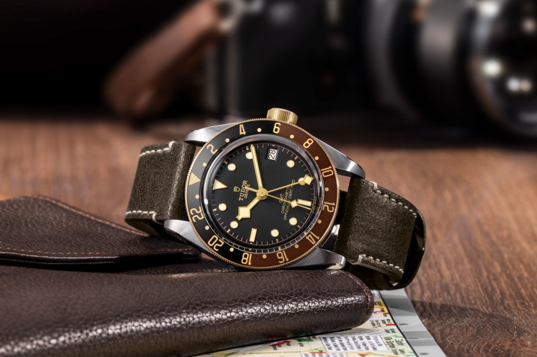 Tudor Black Bay GMT on passport and camera