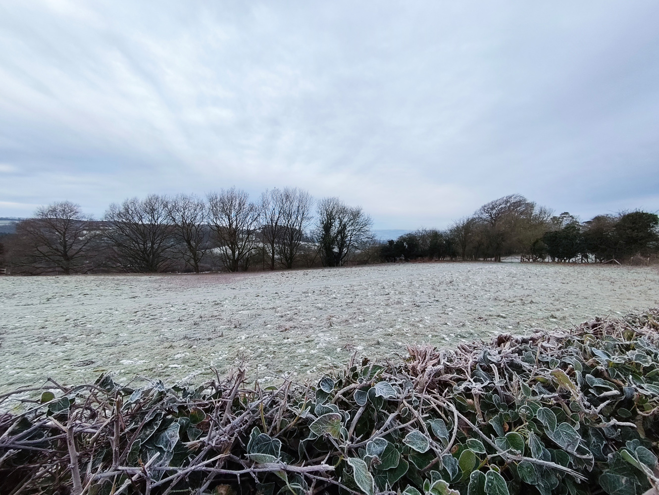 Redmi Note 14 Pro Plus camera frosty field ultrawide