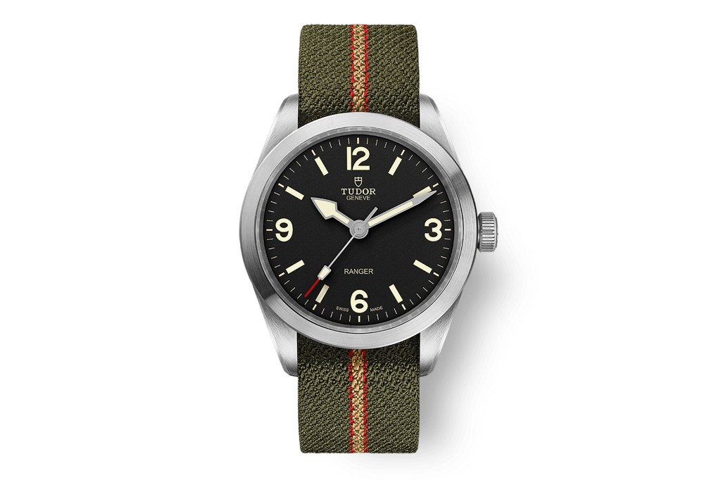 Tudor Ranger on white background