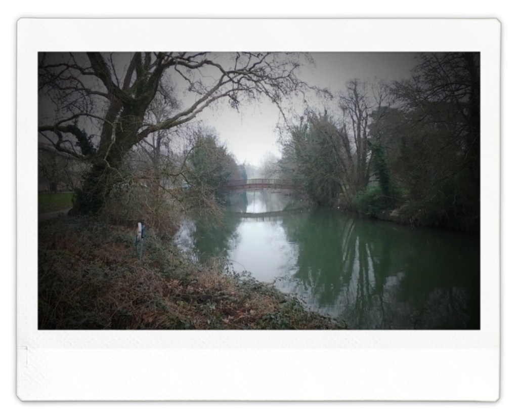 Fujifilm Instax Wide Evo River digital