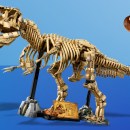 Lego’s latest roarsome Jurassic Park set is almost as big as an actual dinosaur