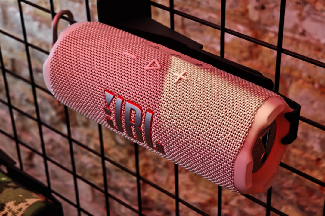 JBL Flip 6 pink